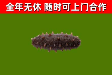 思南烟酒回收干海参.jpg